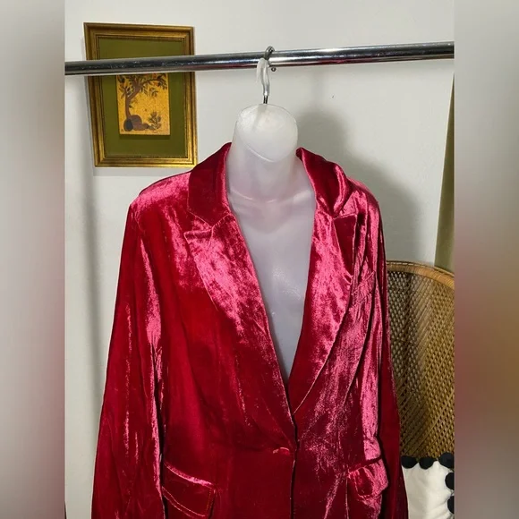 NWT Velvet Classic Blazer - Picture 4 of 11
